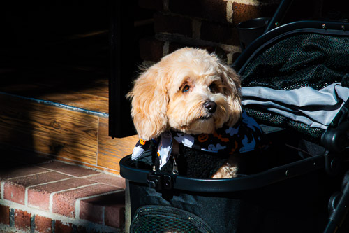 Tarrytown, NY - Oct 2025